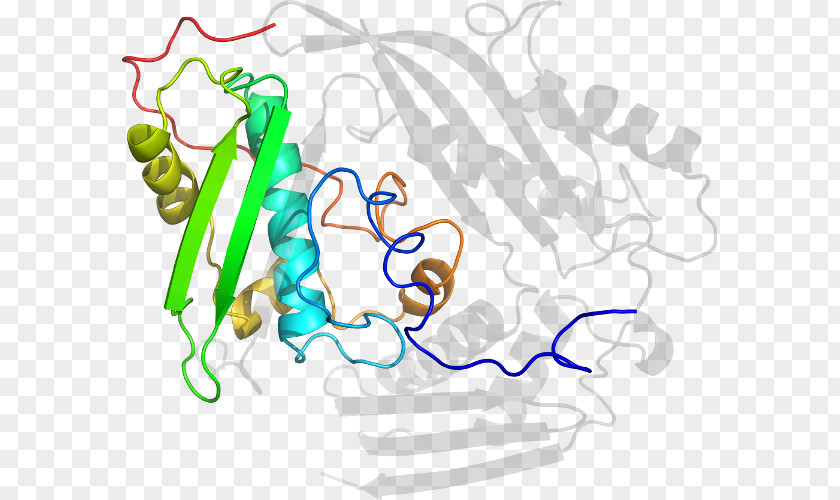 Line Human Behavior Organism Point PNG