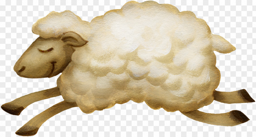 Little Sheep Sheepu2013goat Hybrid PNG