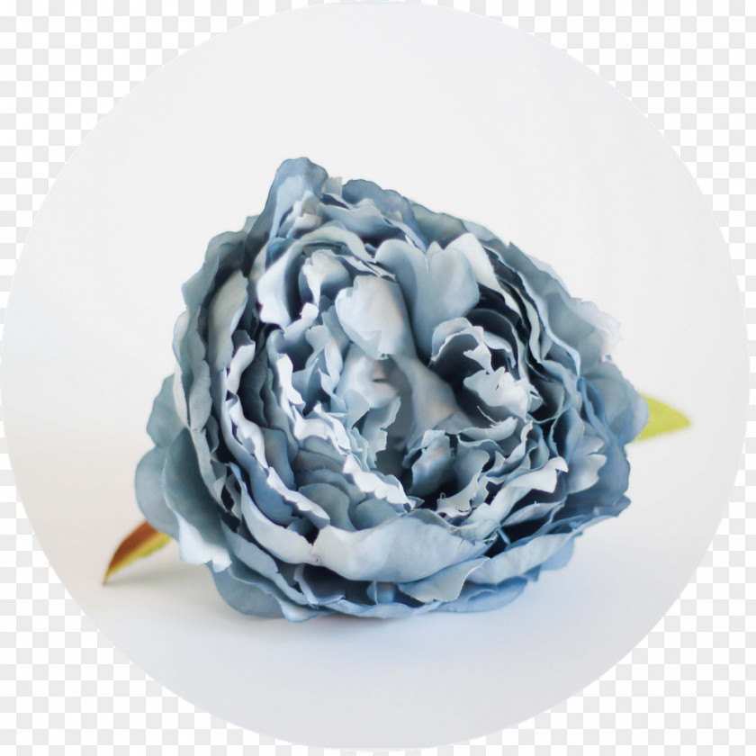Rose Blue Pastel Cut Flowers PNG