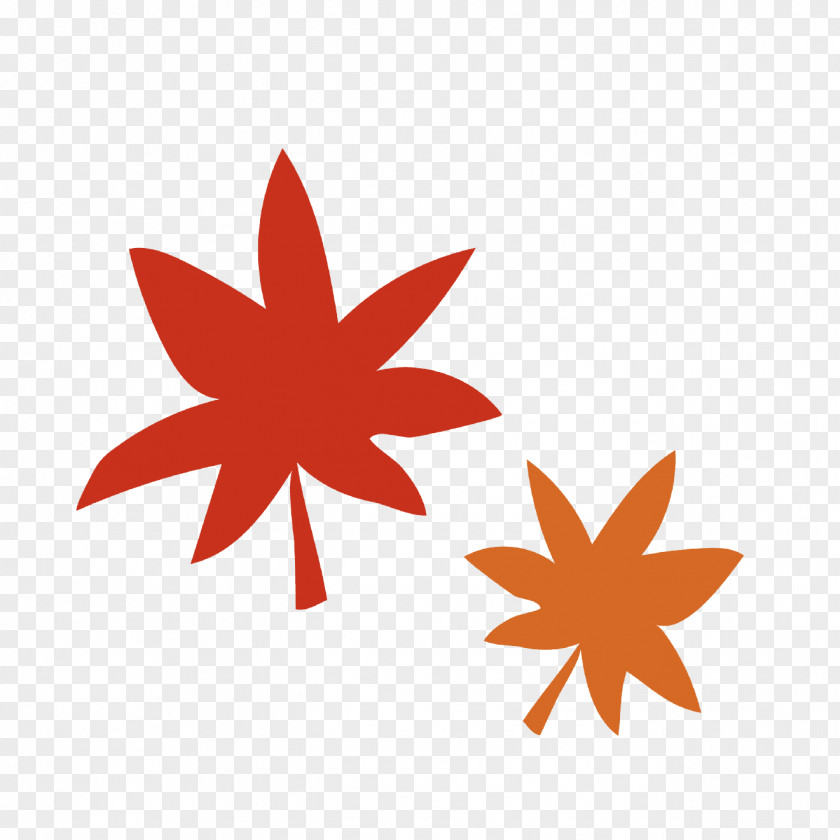 Tsukemono Autumn Leaf Color Boisukautoikoma 4 Dan Camping Ground Fermentation Starter PNG