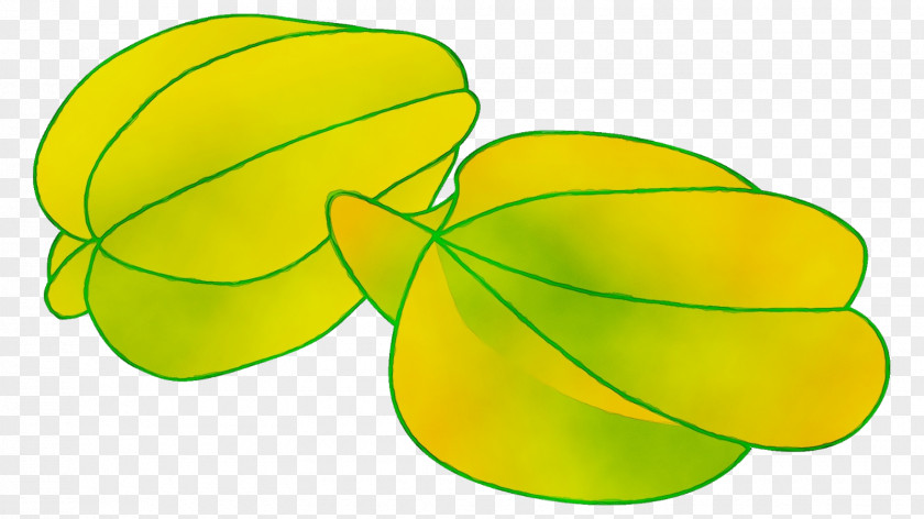 Wood Sorrel Family Symbol Green Leaf Background PNG