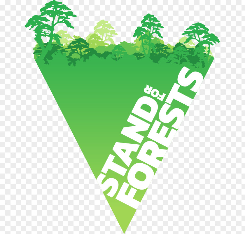 Forest Greenpeace USA Logo Organization PNG