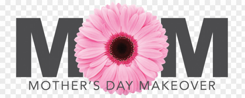 Mother's Day Material Makeover Transvaal Daisy Gift PNG