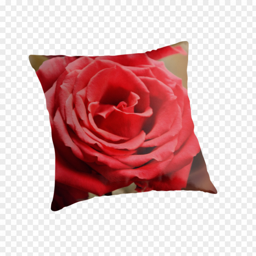 Rose Garden Roses Pillow Cushion Cut Flowers PNG