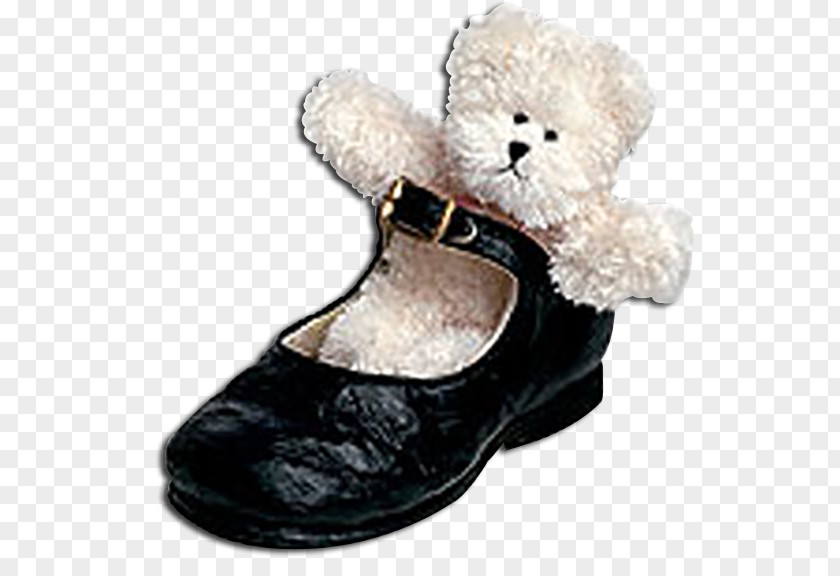 Boot Shoe Fur PNG