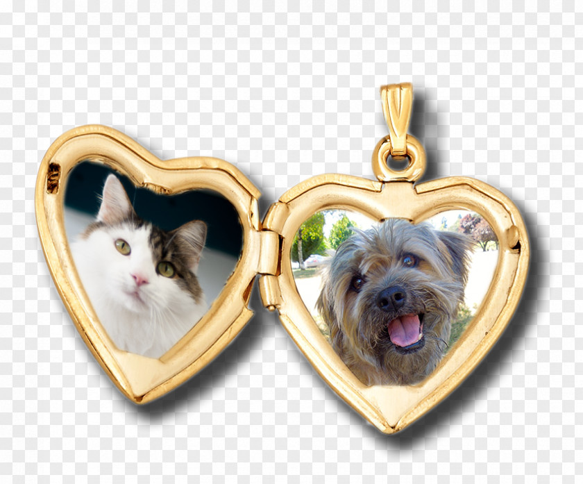Dog Annual Show Board Breed Locket Puppy Love PNG