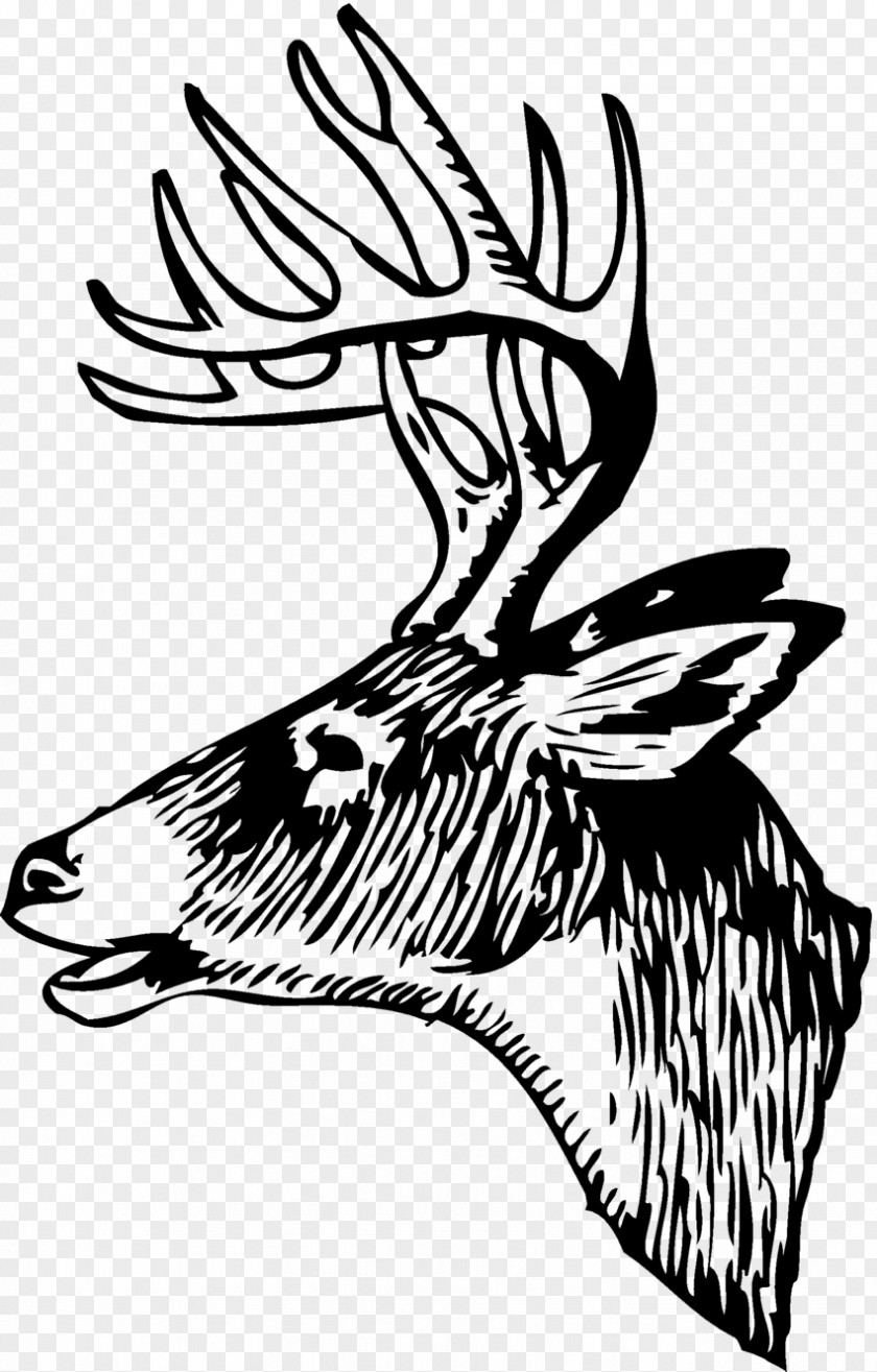 Hunting White-tailed Deer Red Elk Clip Art PNG