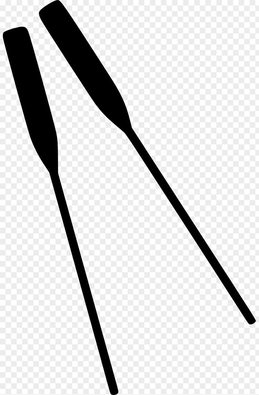 Rowing Oar Paddle Clip Art PNG