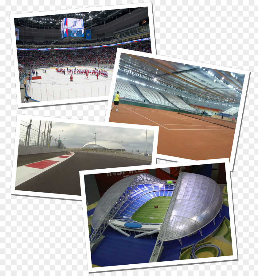 Sochi 2014 Winter Olympics 2018 Olympic Games Fisht Stadium PNG
