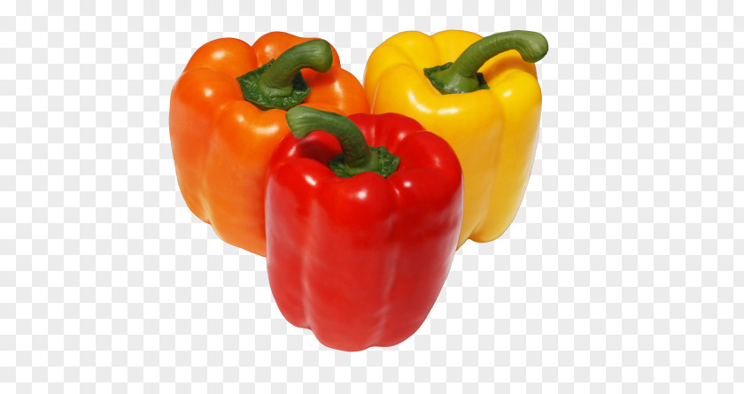 Vegetable Chili Pepper Cayenne Friggitello Yellow Red Bell PNG