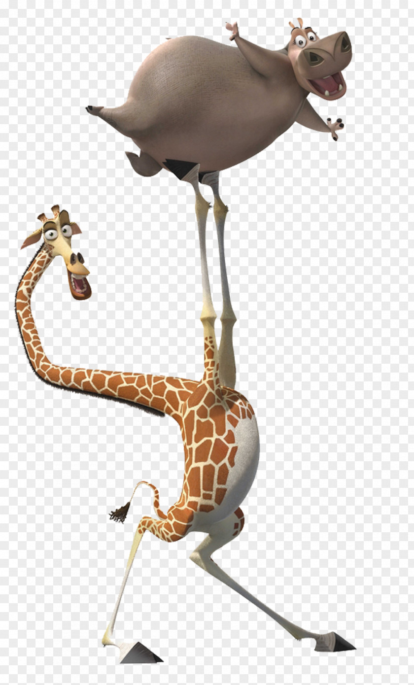 Madagascar Melman Gloria Alex Marty PNG