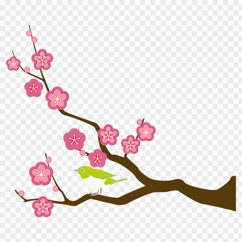 Plum Branch Winter Flower PNG