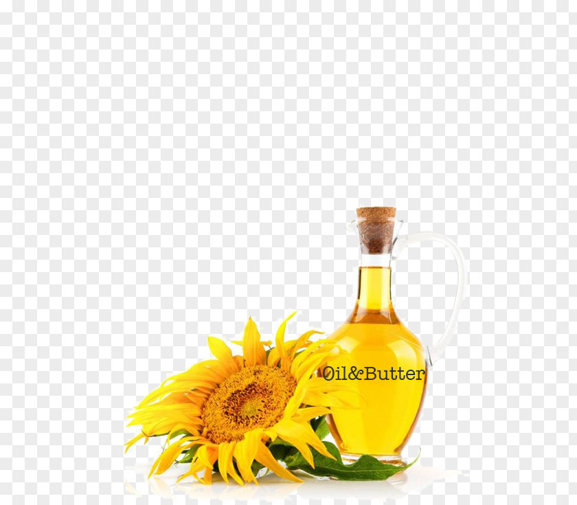 Sunflower Oil Vitamin E Tocopherol K PNG