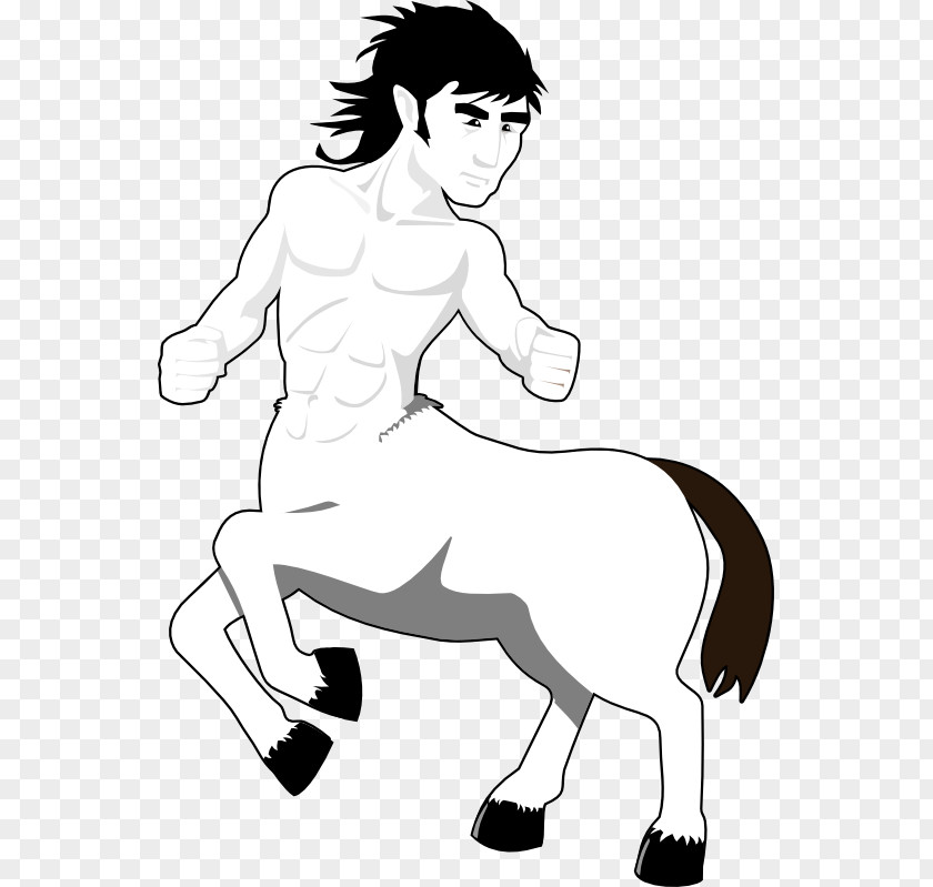 Centaur Cliparts Mustang Mane Pony Homo Sapiens Clip Art PNG