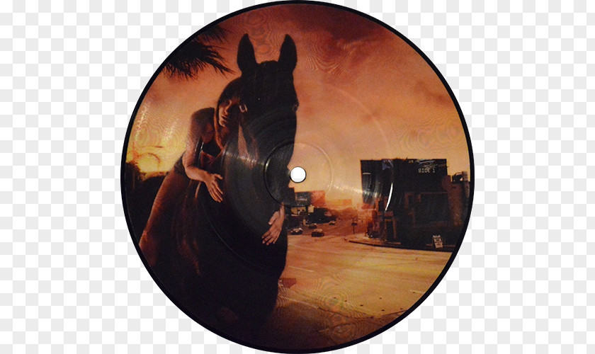 Dani California Red Hot Chili Peppers Stadium Arcadium Phonograph Record Song PNG