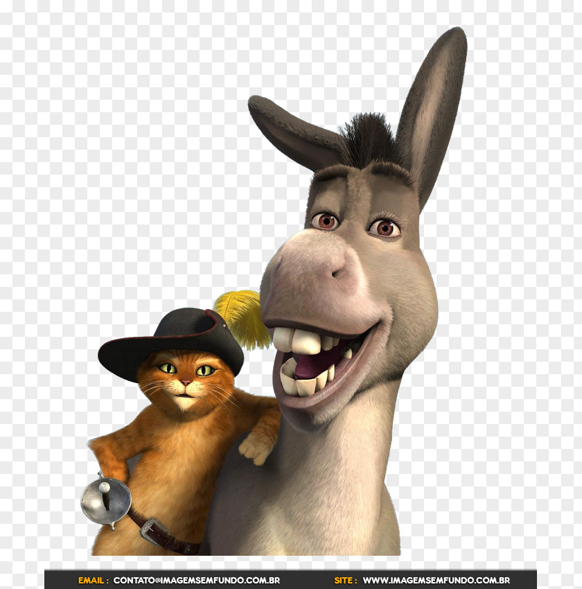 Donkey Adaptations Of Puss In Boots Princess Fiona Shrek PNG