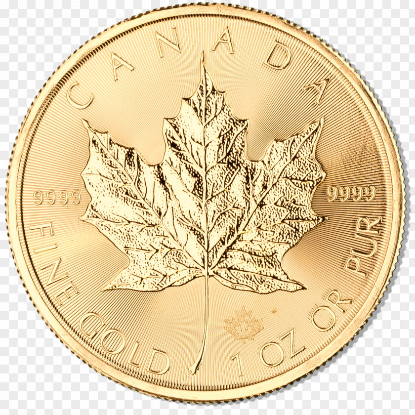 Gold Leaf Canadian Maple Coin Australian Nugget Britannia PNG
