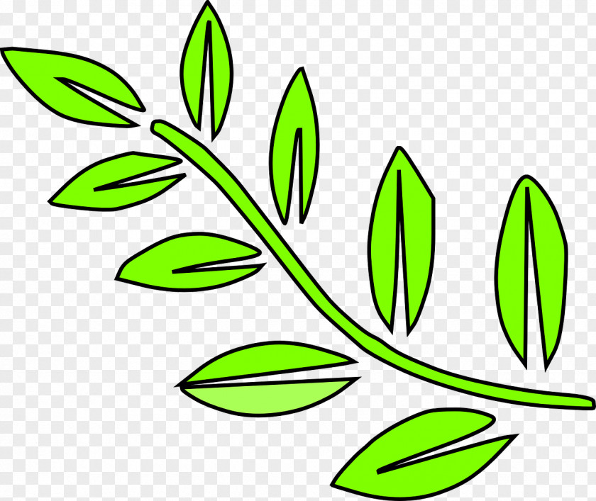 Mint Leaves Plant Stem Leaf Clip Art PNG