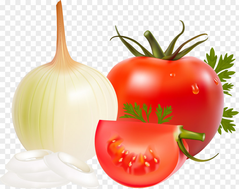 Onion Vegetable Drawing Fruit PNG