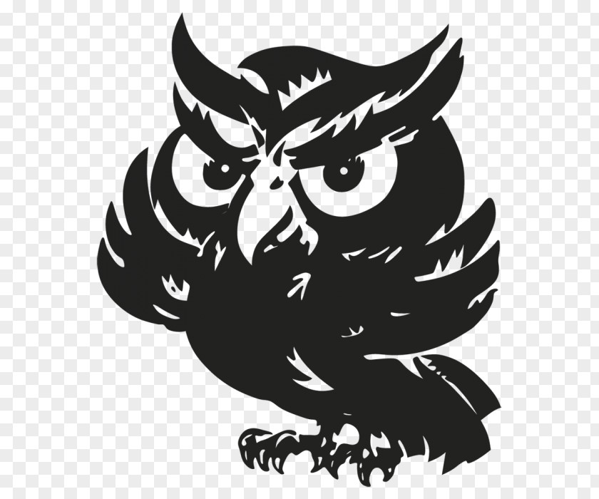 Owl Rockford Environmental Science Academy Middle School K–12 PNG