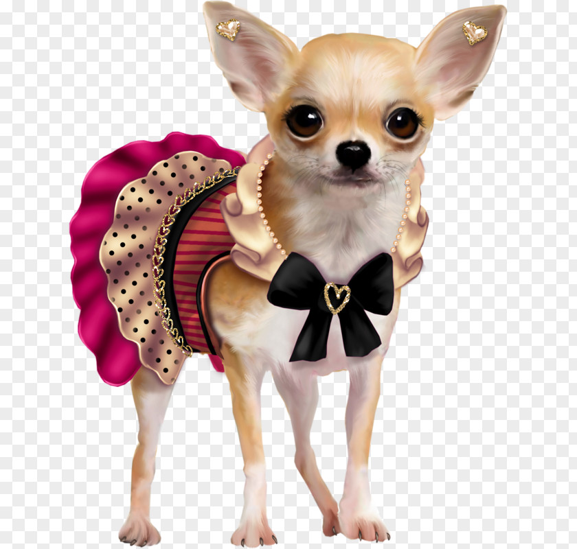 Puppy Chihuahua French Bulldog Clip Art PNG
