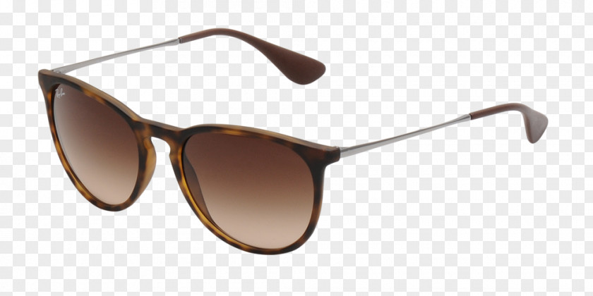 Ray Ban Ray-Ban Erika Classic Aviator Sunglasses Wayfarer PNG