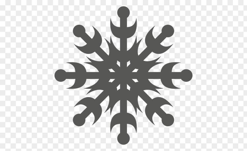 Snowfkals Vector Snowflake Art PNG