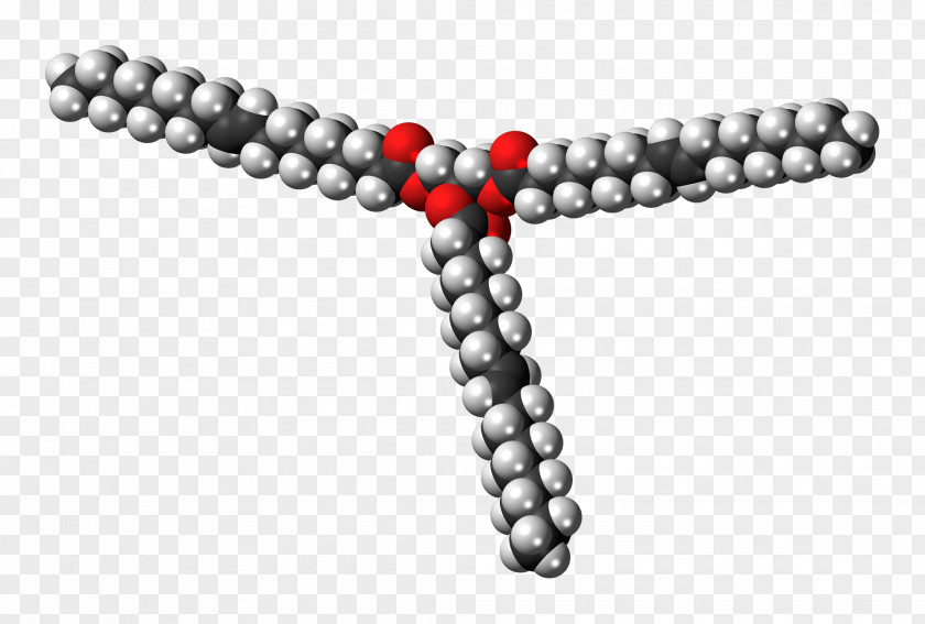 Stearin Molecule Triglyceride Triolein Fat PNG