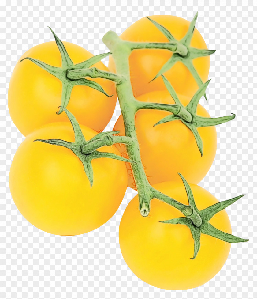 Tomato PNG