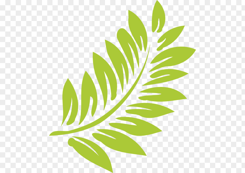 Tropical Leaf Hibiscus Schizopetalus Clip Art PNG