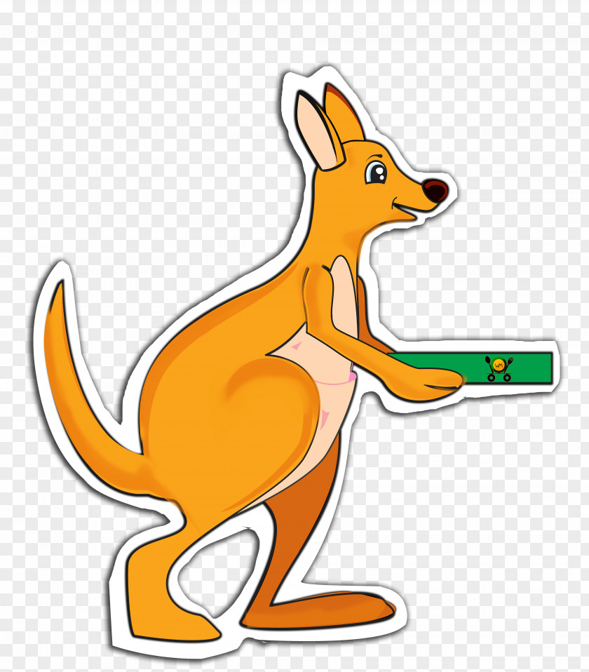Dog Red Fox Macropods Kangaroo Mammal PNG