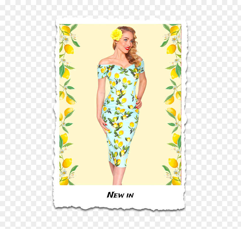 Dress 1950s Vintage Clothing Retro Style PNG