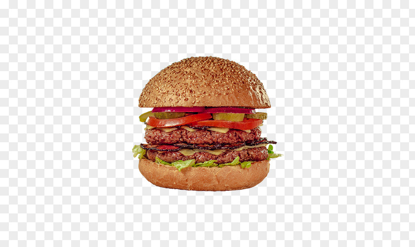Junk Food Cheeseburger Whopper Slider McDonald's Big Mac Buffalo Burger PNG