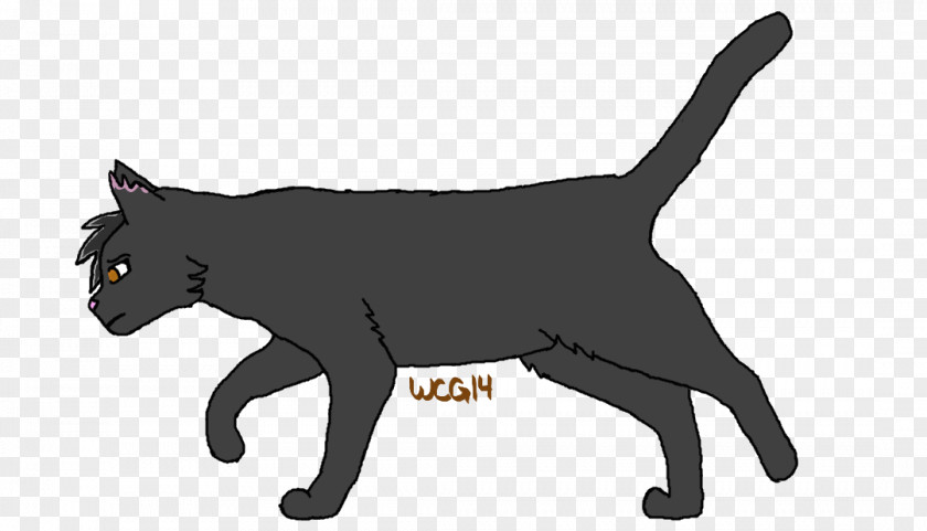 Warrior Cat Drawings Wings Kitten Manx Korat Black Whiskers PNG