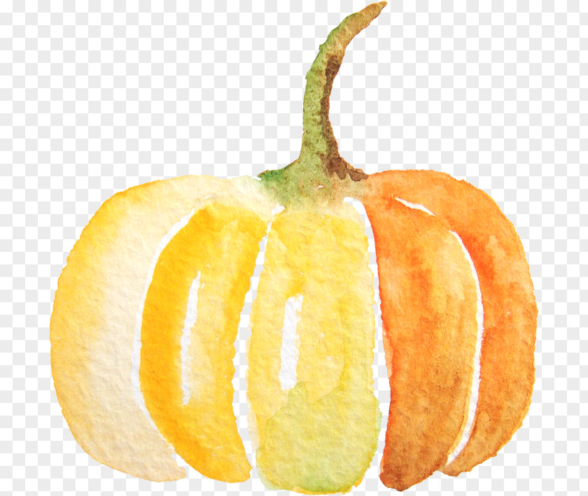 Watercolor Pumpkin Spice Latte Calabaza PNG