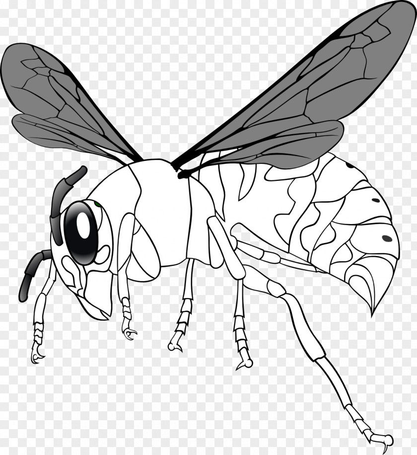 Bee Line Art Clip PNG