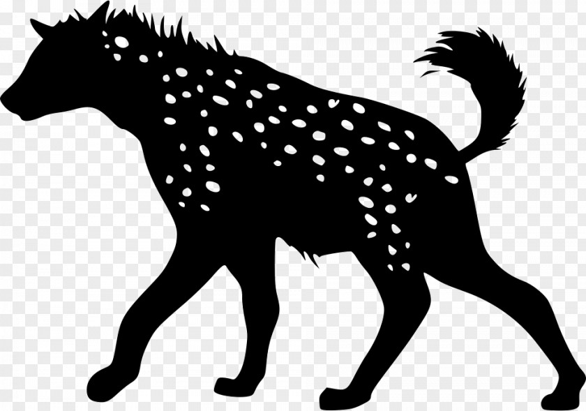 Cat Panthera Striped Hyena Felidae PNG