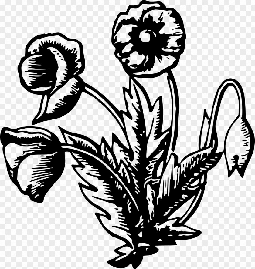 Flower Label Black And White User Interface Clip Art PNG