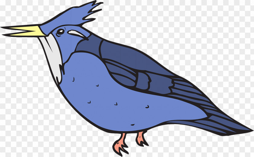 Light Blue Birds Crown Kingfisher Download Clip Art PNG