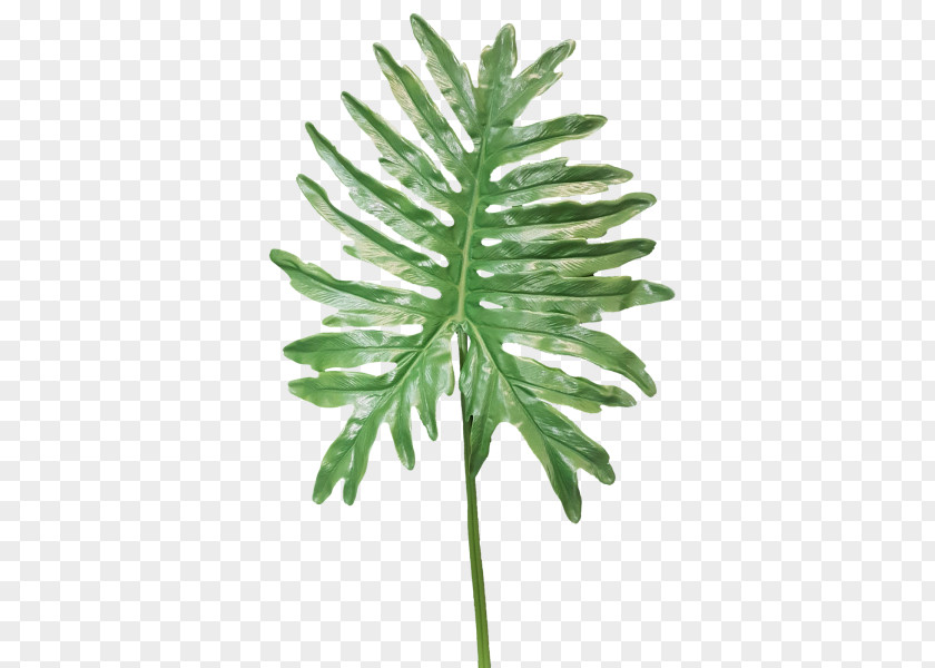 Monstera Fern Plant Stem Artificial Flower Leaf PNG