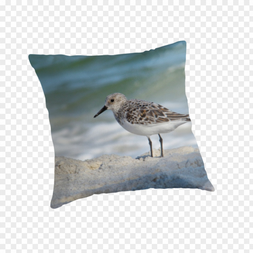 Pillow Cushion Beak Throw Pillows Fauna PNG