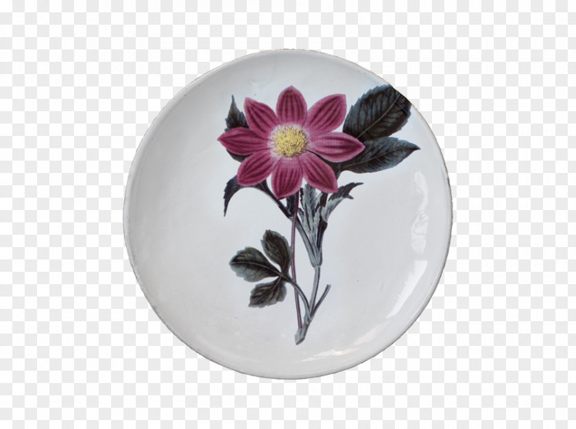 Plate Ceramic Porcelain Dahlia Tableware PNG