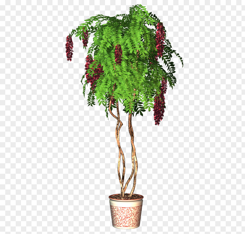3 Flower Red Flowerpot Tree Plant PNG