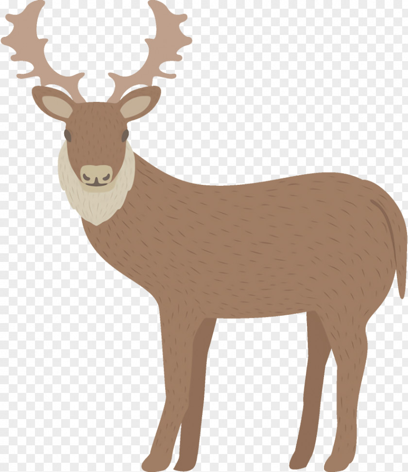 Antler Moose Reindeer Christmas PNG