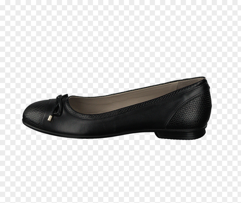 Ballet Flat Slipper Slip-on Shoe PNG