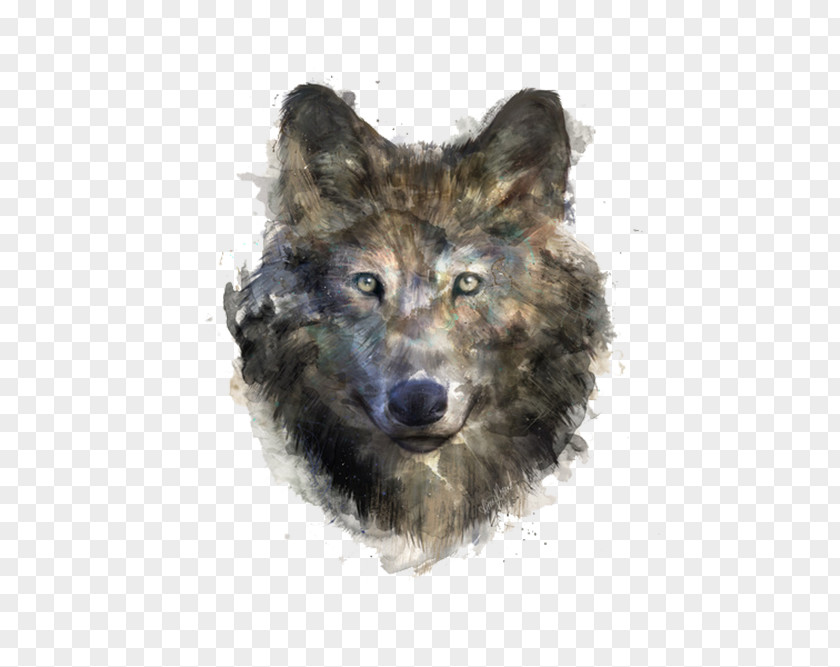 Black Wolf Gray T-shirt Drawing Illustration PNG