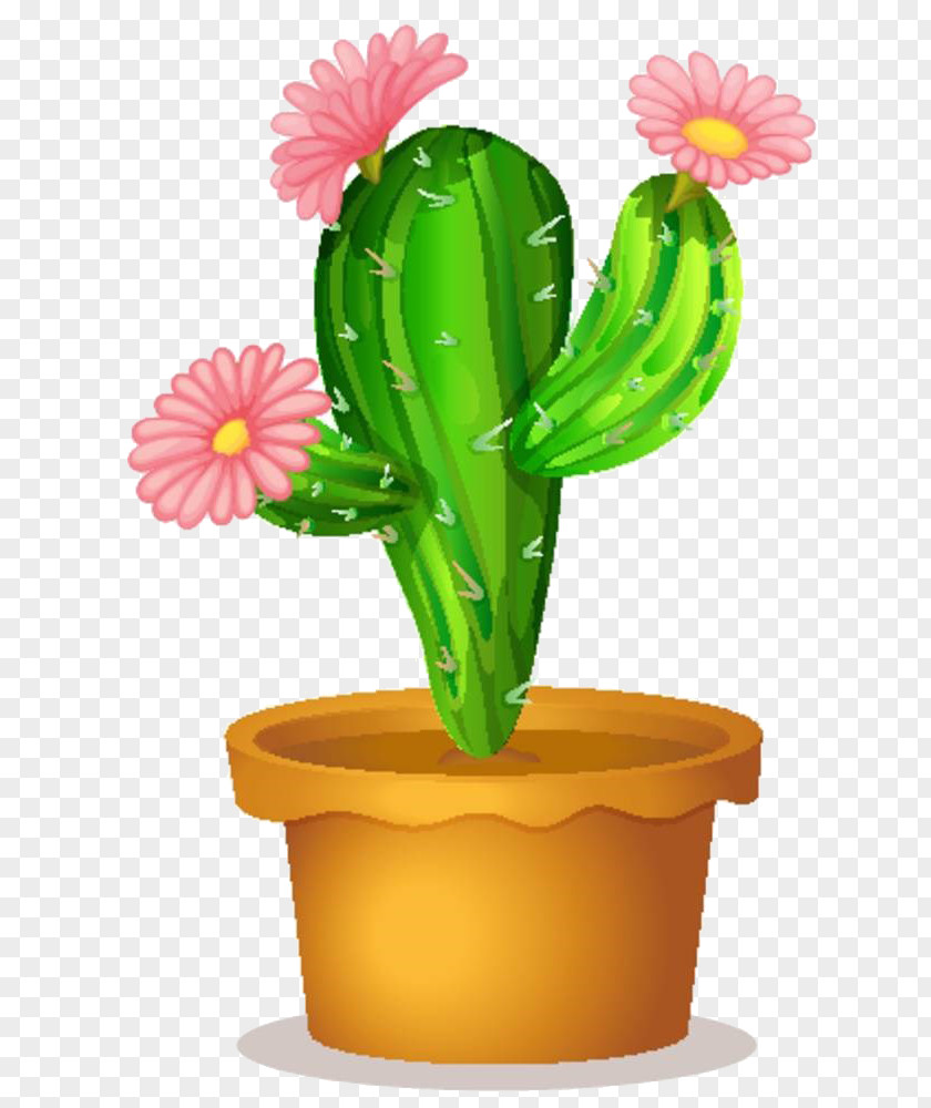 Cartoon Cactus Material Cactaceae Succulent Plant Clip Art PNG