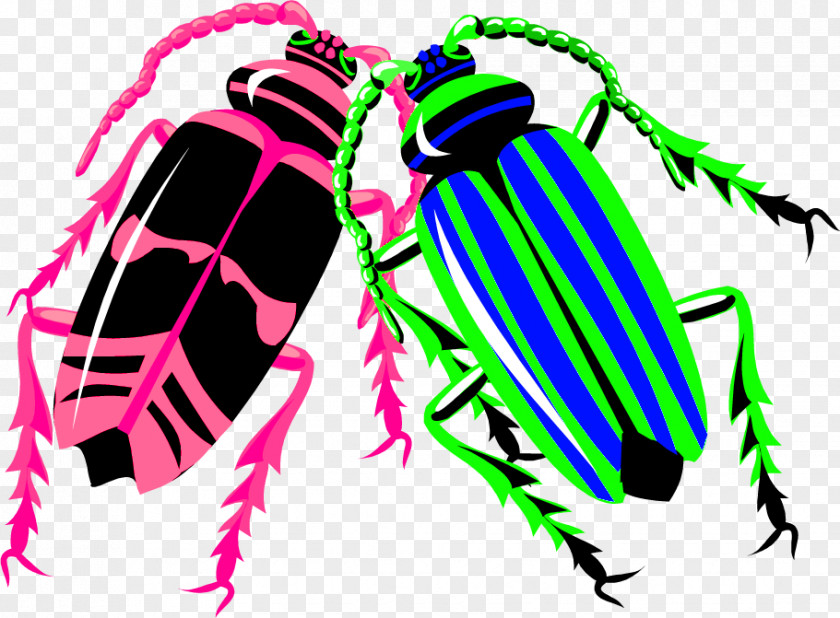 Color Insect Longhorn Beetle Worm PNG