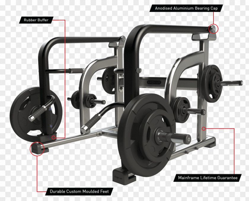 Dead Lift Deadlift Fitness Centre Weight Training Physical Shrug PNG