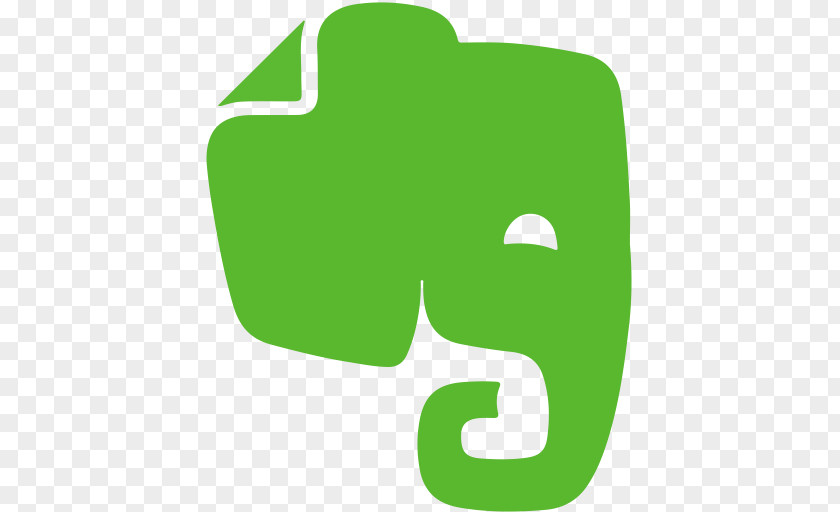 Evernote User PNG